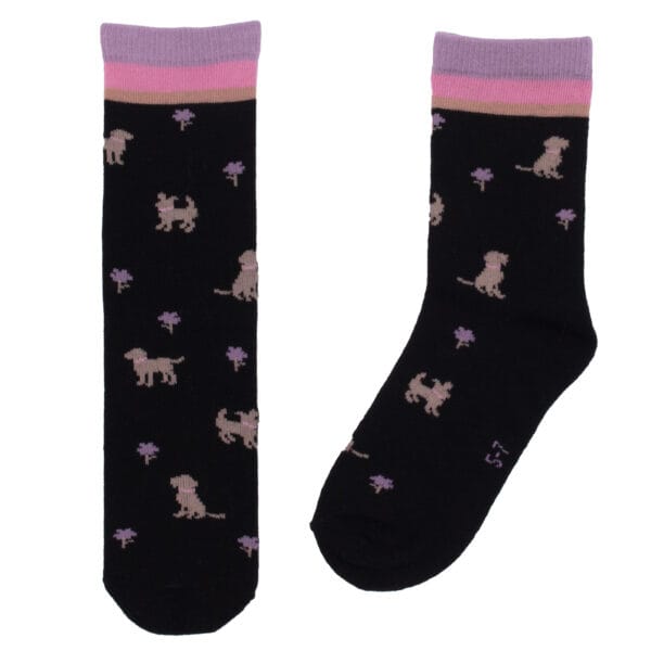 Nanö Chaussettes Collection Une Nuit Au Jardin PRÉVENTE
